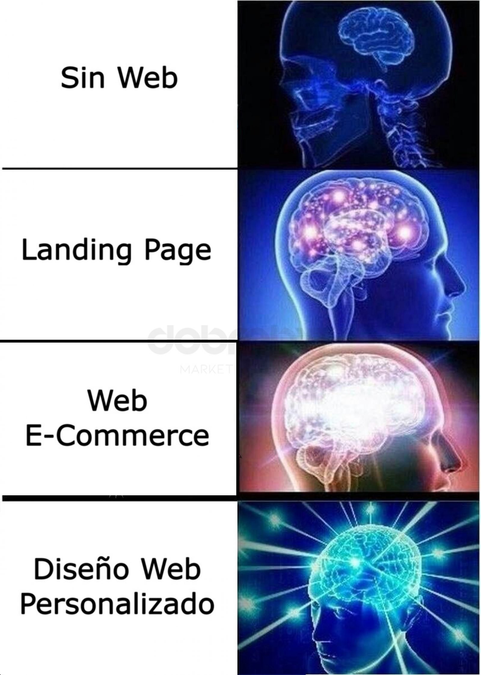 Diferencias entre Landing Page y Web E-Commerce